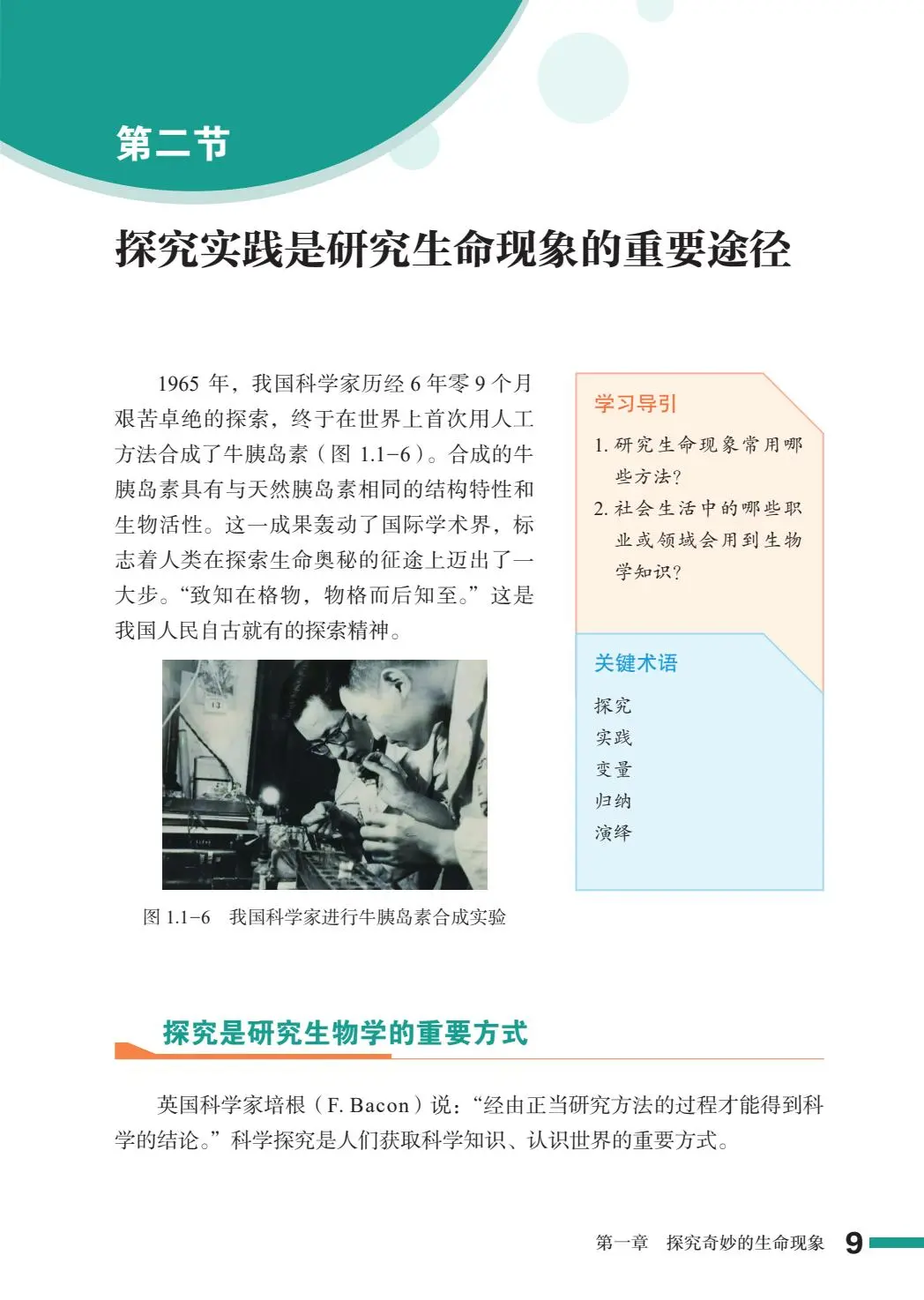 2024新鲁教版初中生物学PDF电子书七上