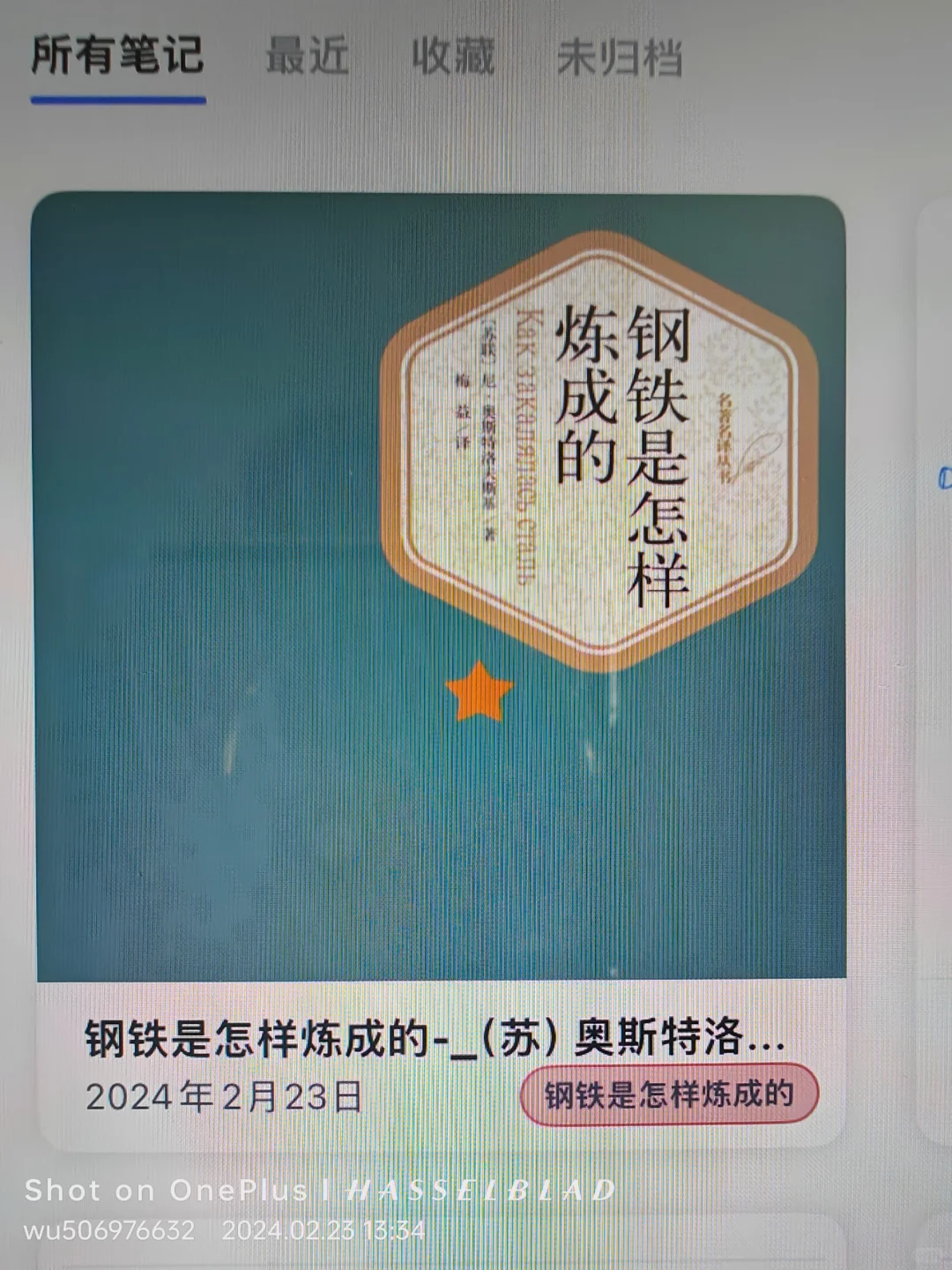 钢铁是怎样炼成的pdf