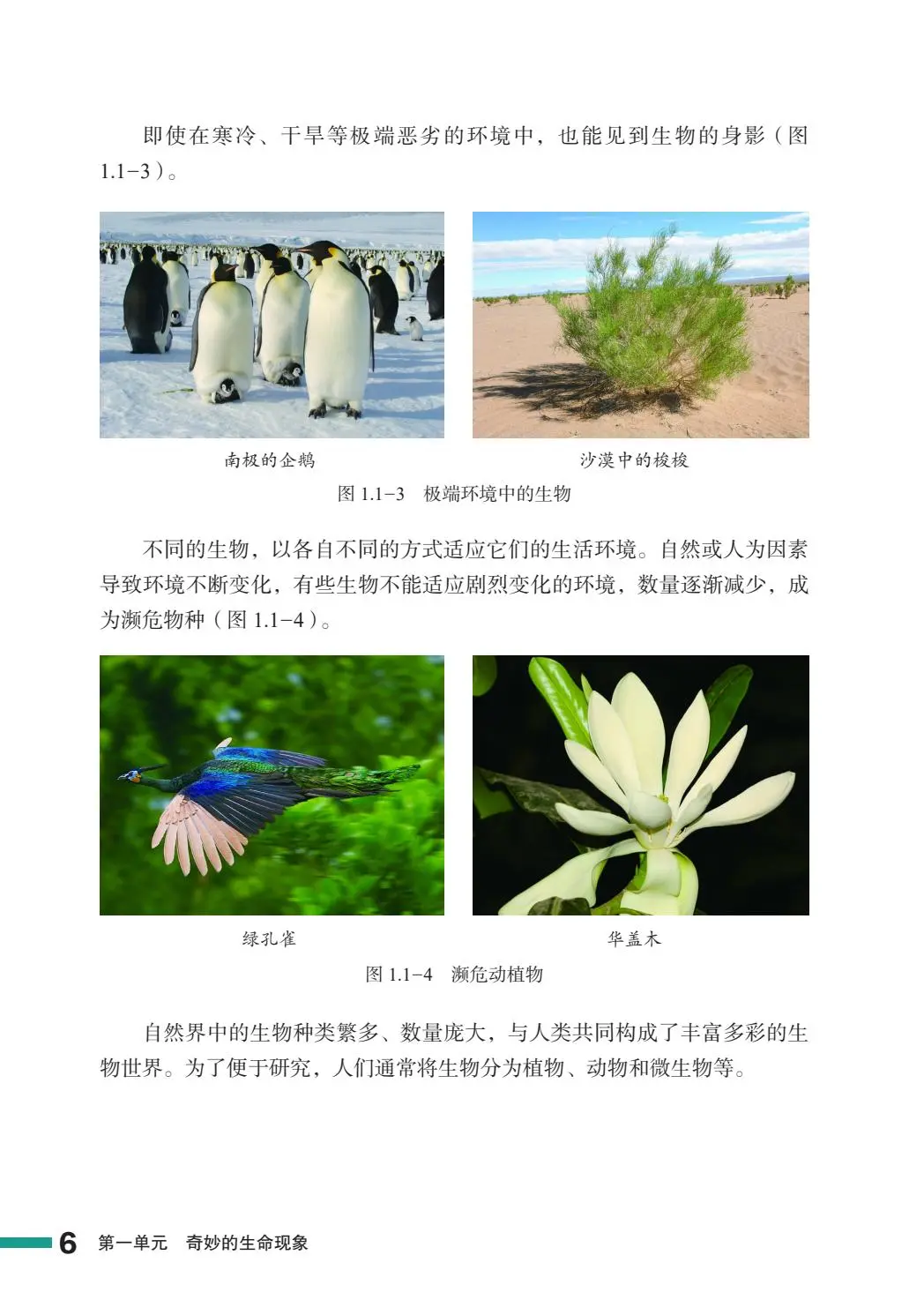 2024新鲁教版初中生物学PDF电子书七上
