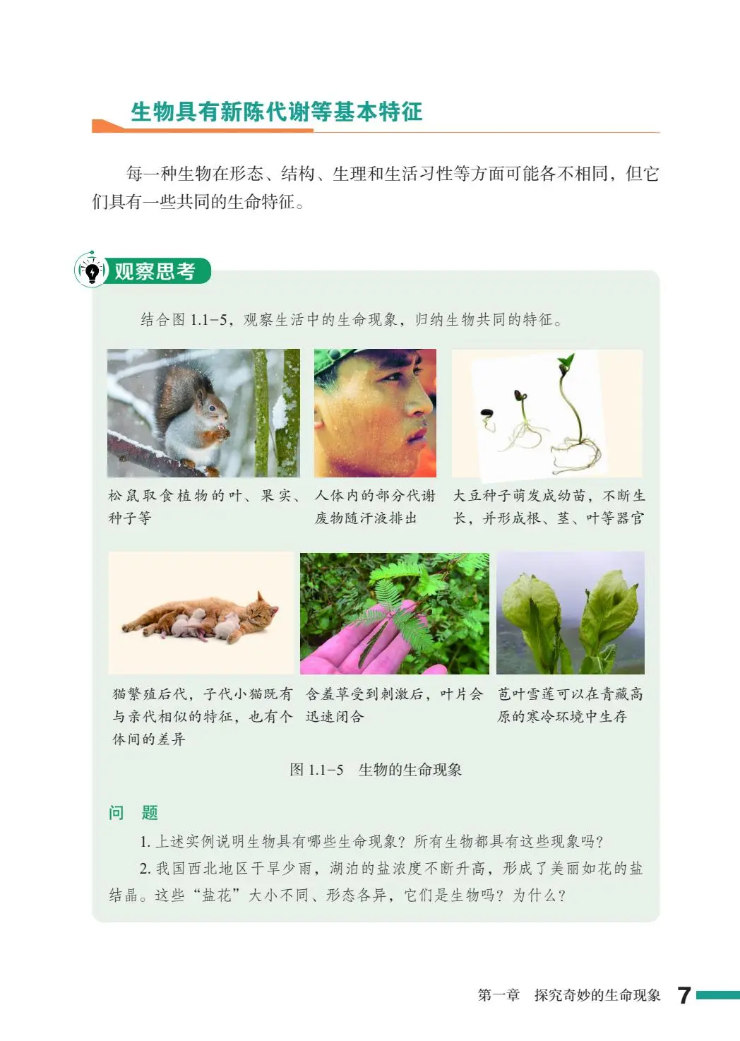 2024新鲁教版初中生物学PDF电子书七上
