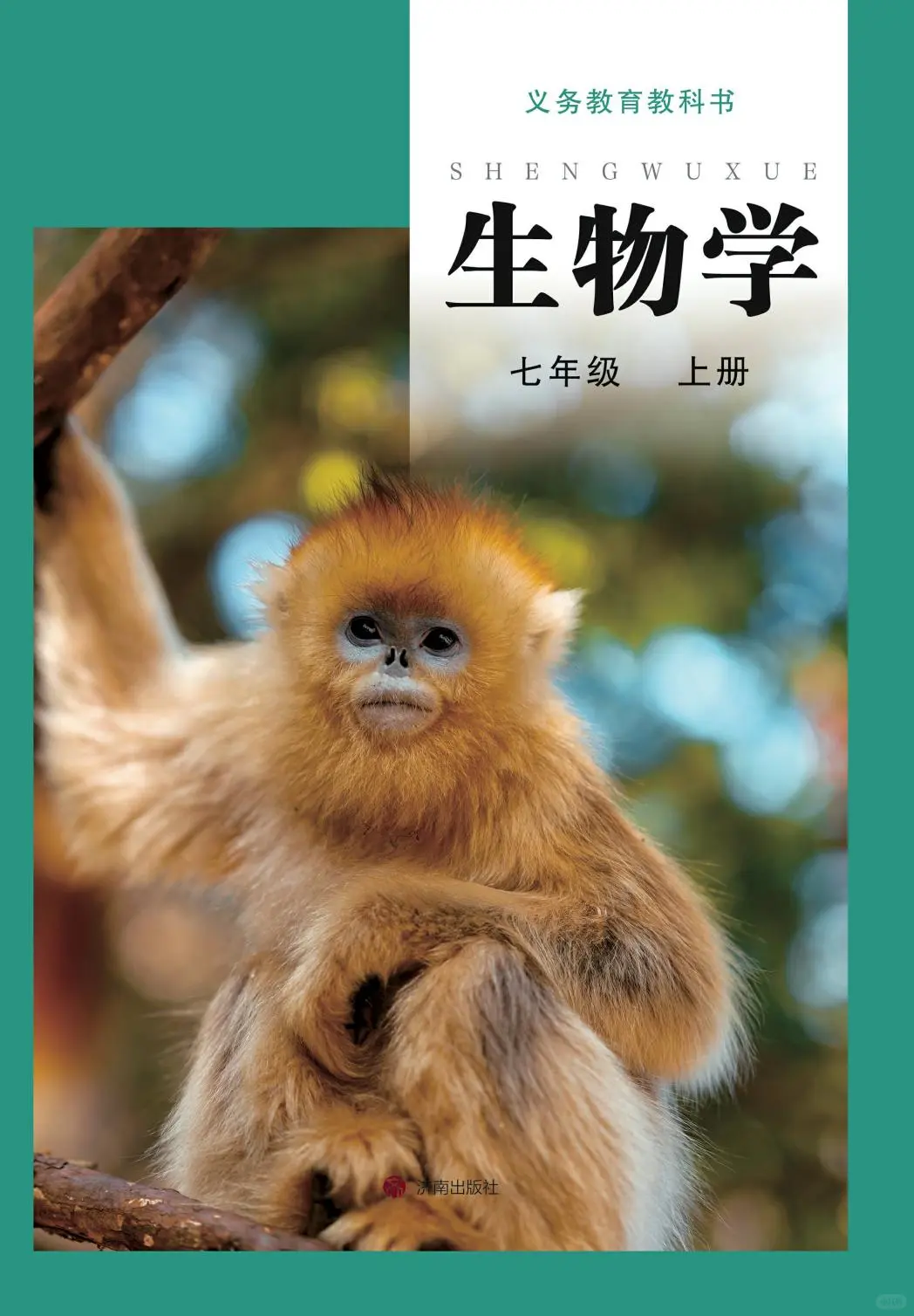 2024新鲁教版初中生物学PDF电子书七上