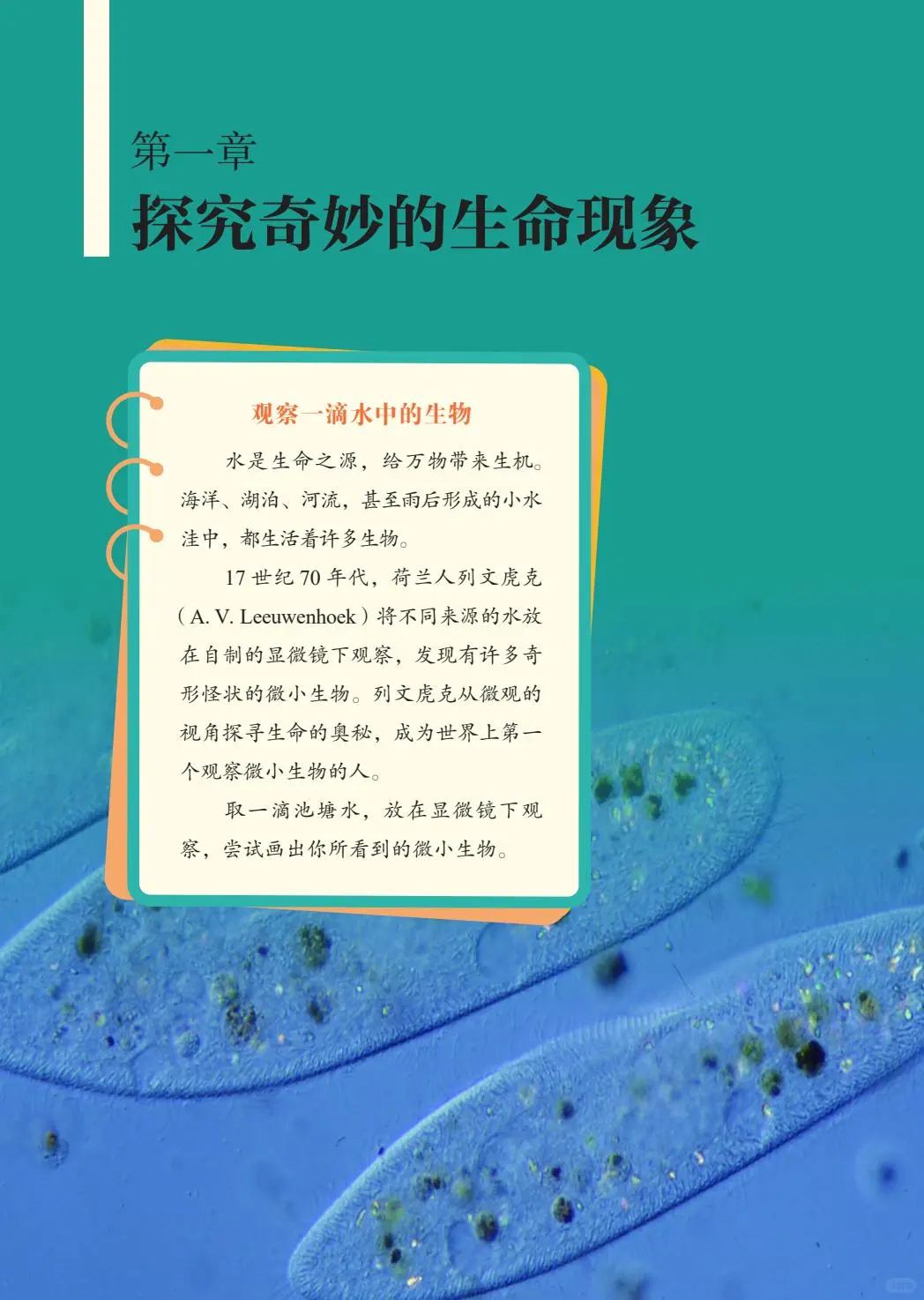 2024新鲁教版初中生物学PDF电子书七上