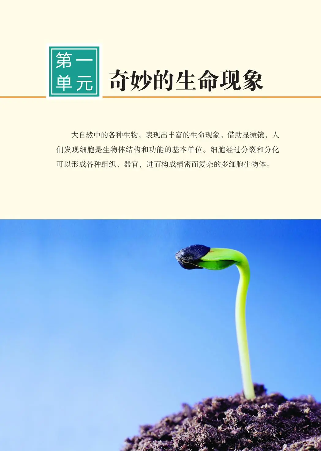 2024新鲁教版初中生物学PDF电子书七上