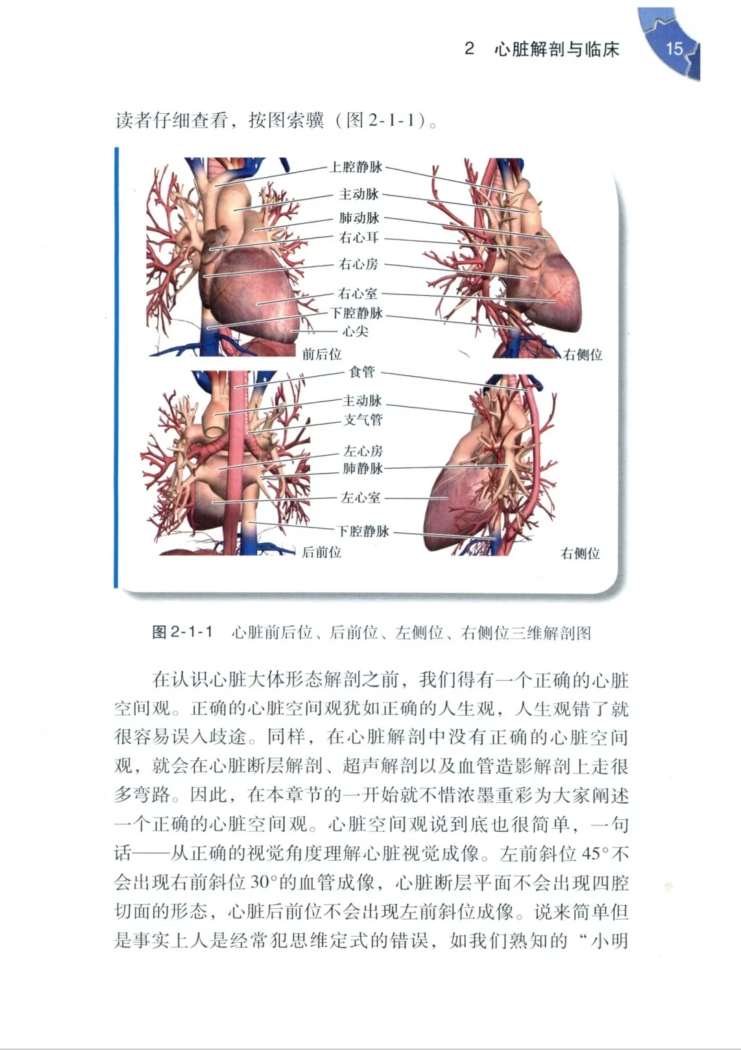 【PDF版】心血管内科医生成长手册pdf电子书