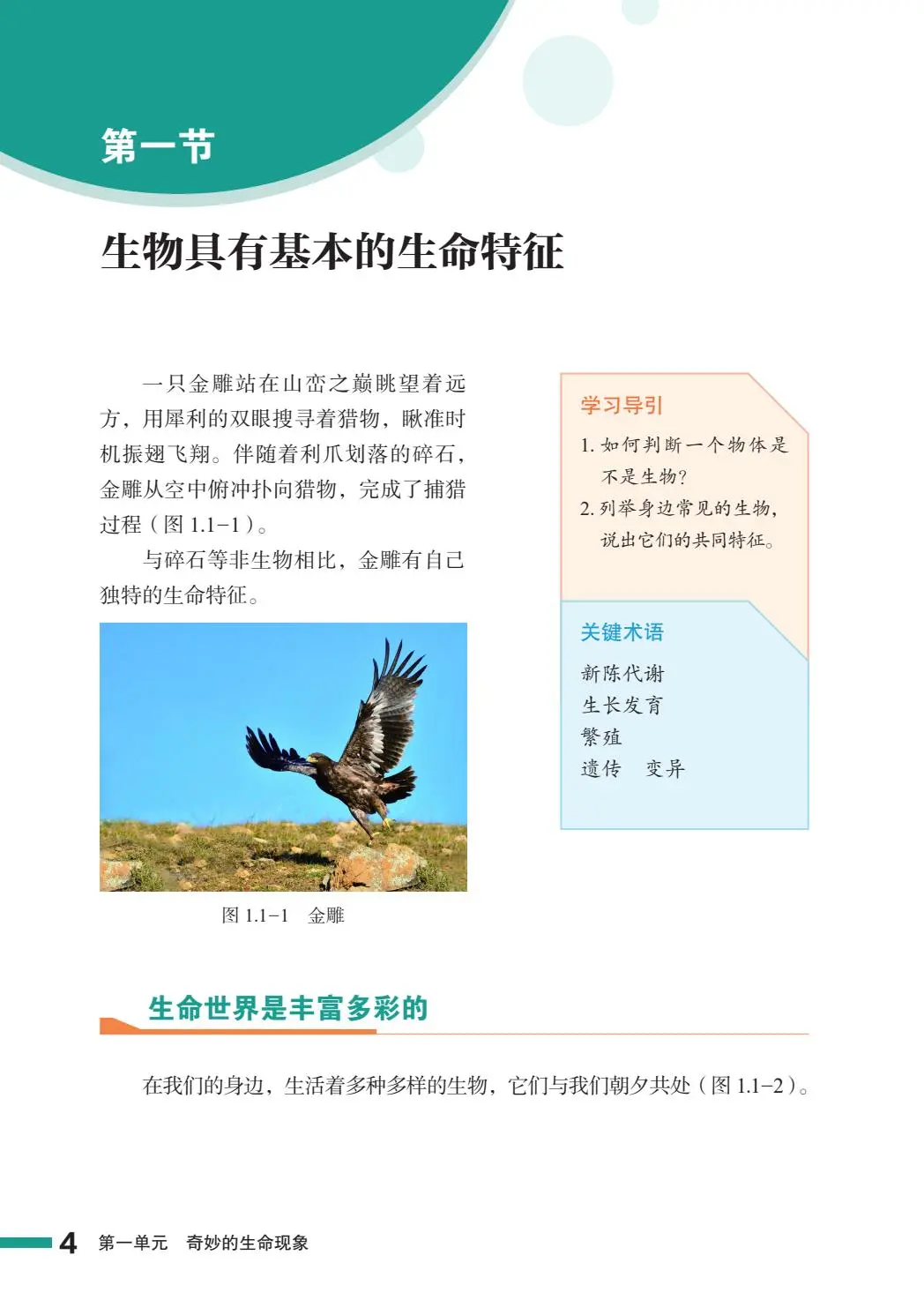 2024新鲁教版初中生物学PDF电子书七上