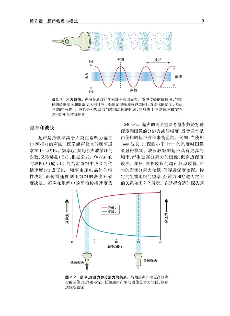 【PDF版】床旁即时超声第2版pdf电子书下载