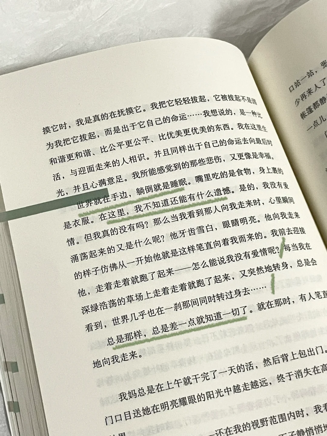 “自由一旦漫开，就无边无际。”