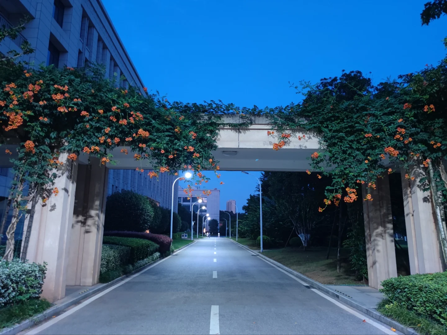 因为培训，买了个电纸书，准备开启一个计划
