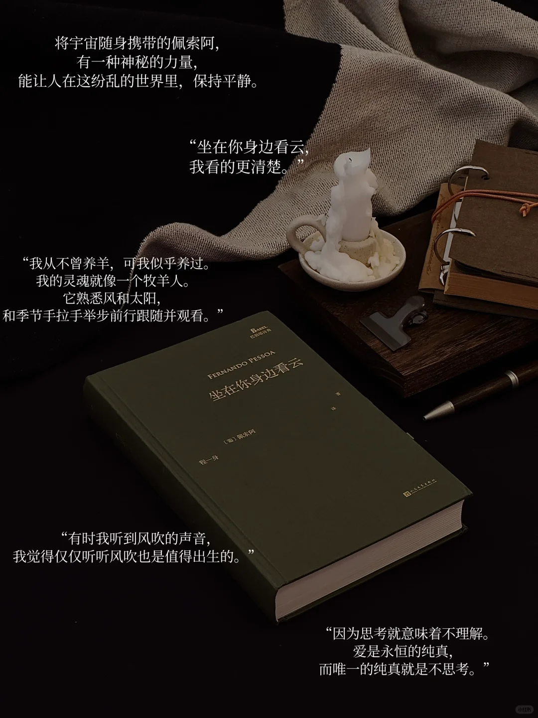 我的年度书单｜读着、看着、活着 感受其中