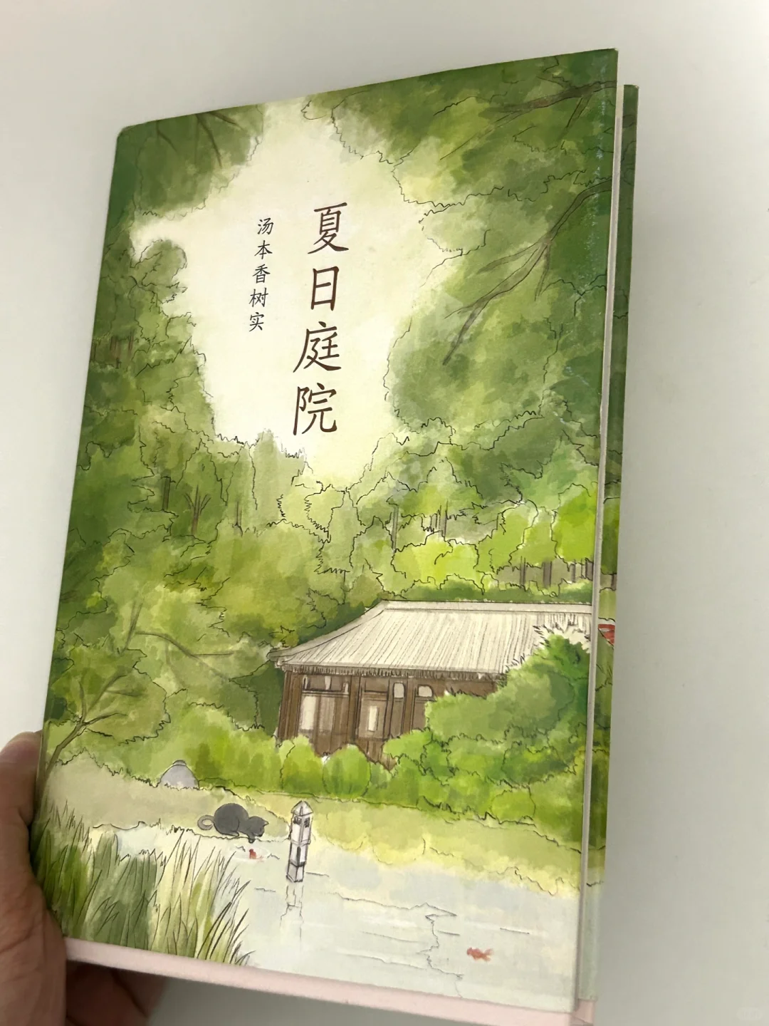 夏日炎炎，一起在书里过夏天吧❗️