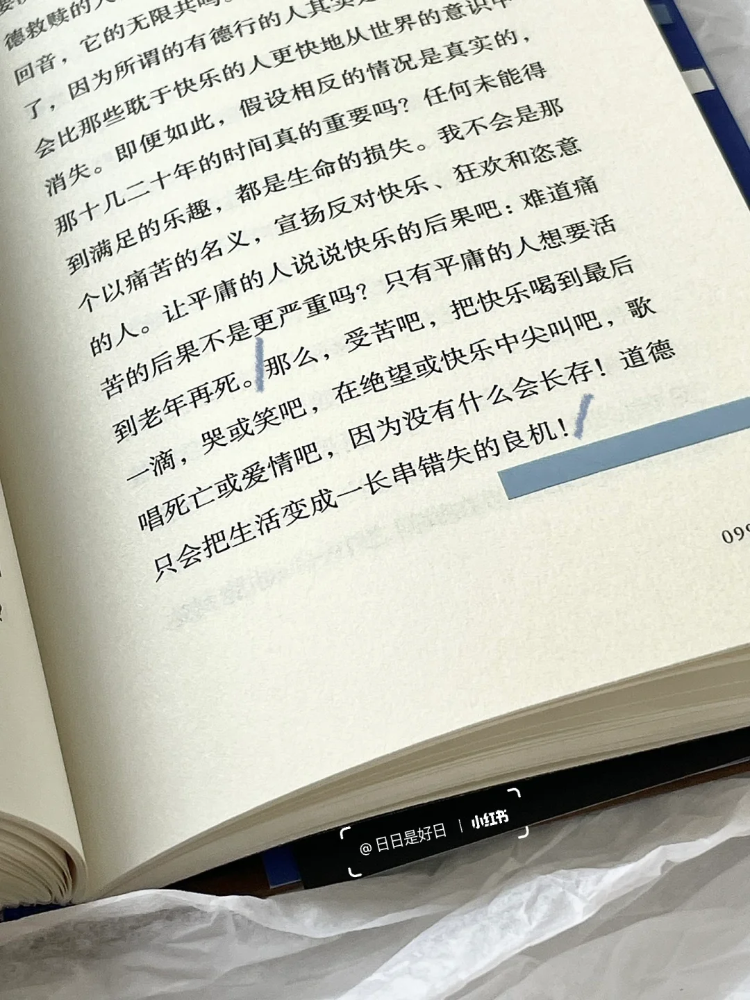 “生命只是一场长久、漫长的痛苦。”