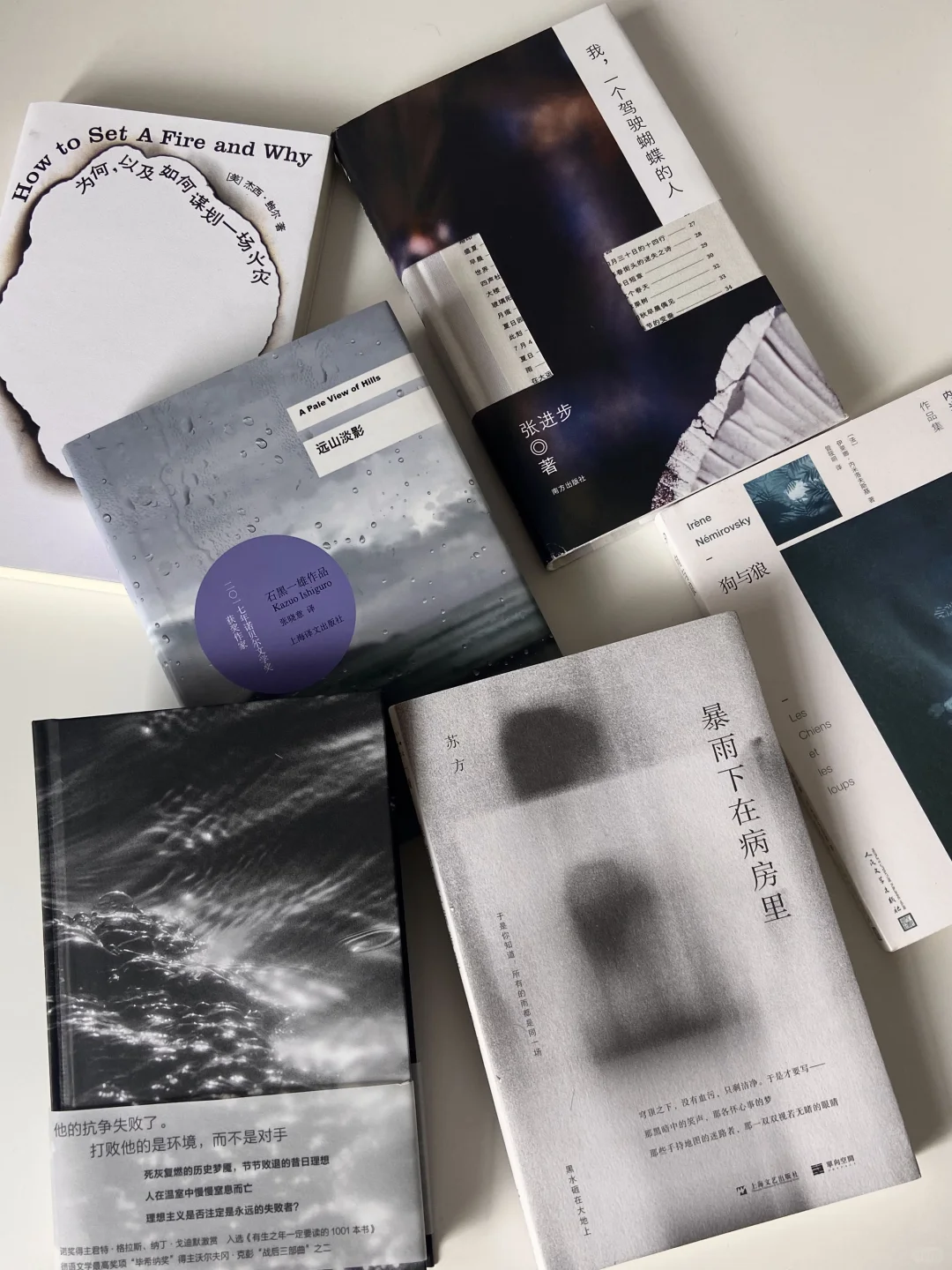 阴雨天躲在家里读书🐚 | 美到窒息的书单