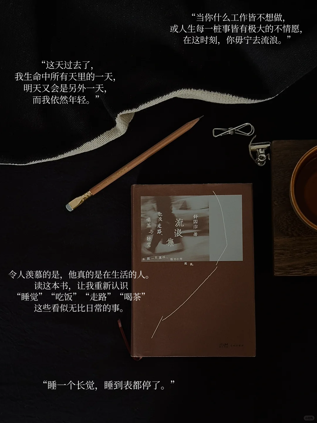 我的年度书单｜读着、看着、活着 感受其中
