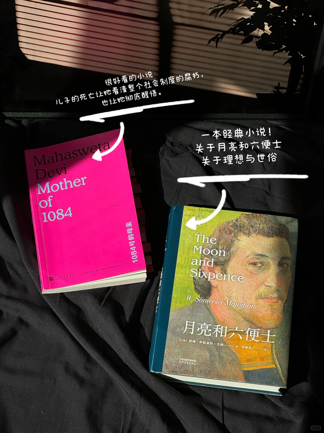 📚10月读了24本书｜书单来了！小红书值得买