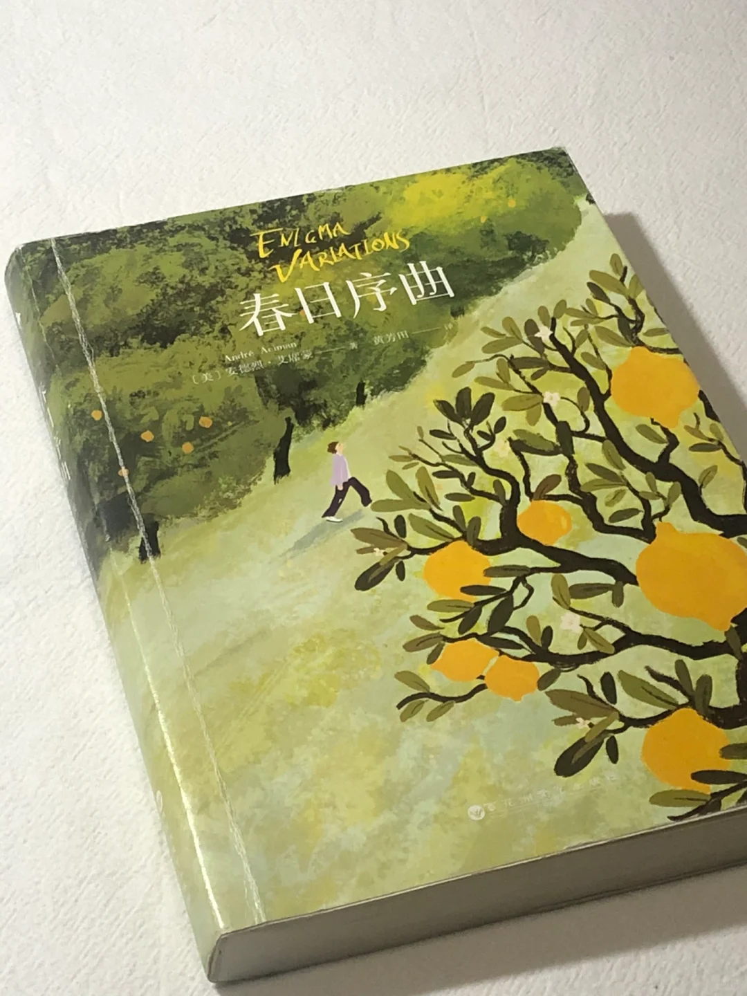 🍋《春日序曲》果然是每一句都想背下来的书