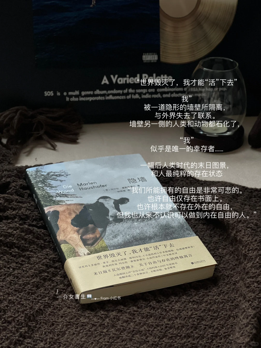 ◝🪹◜｜分享几本喜欢的入秋书单