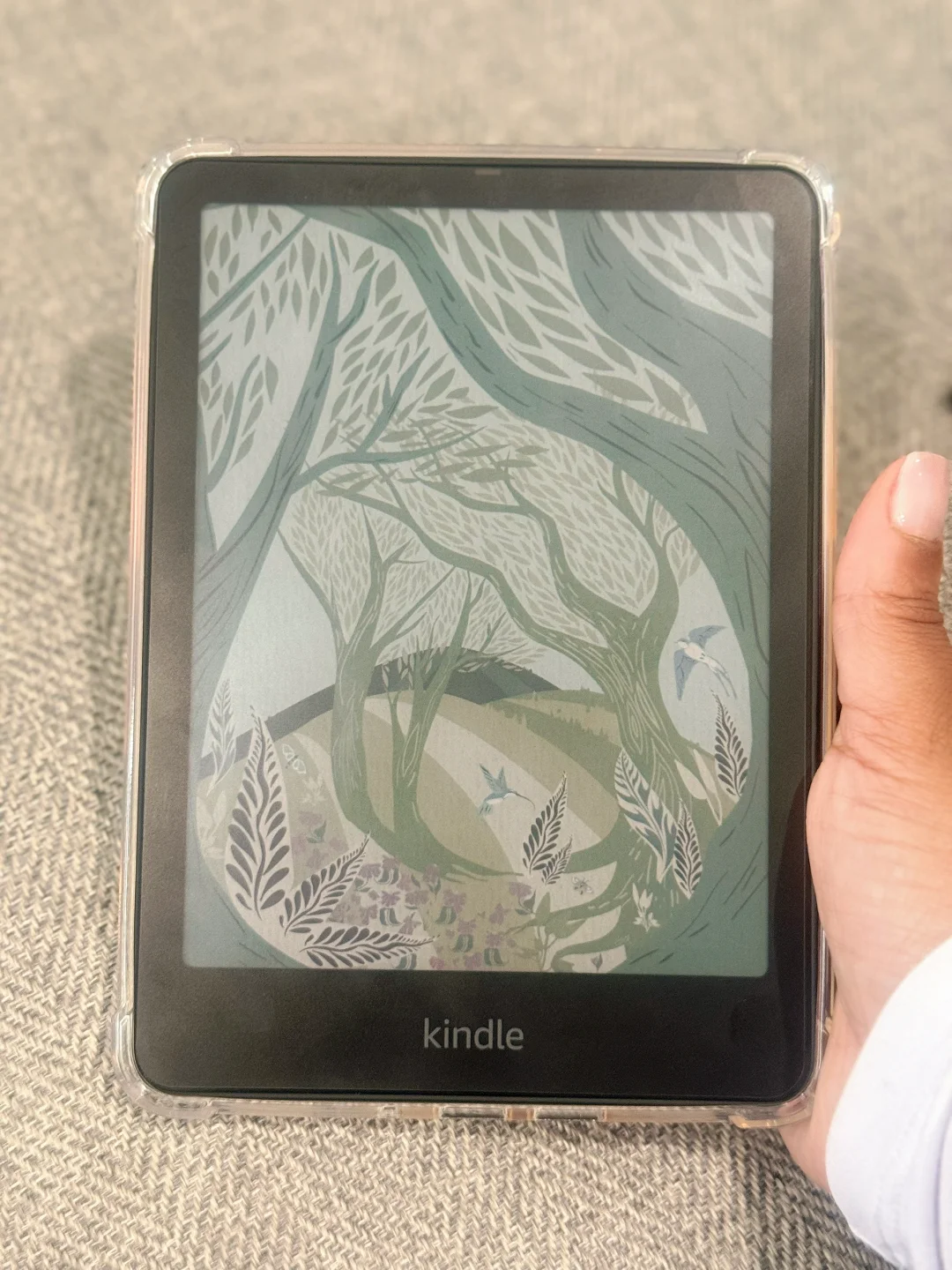 Kindle Colorsoft!
