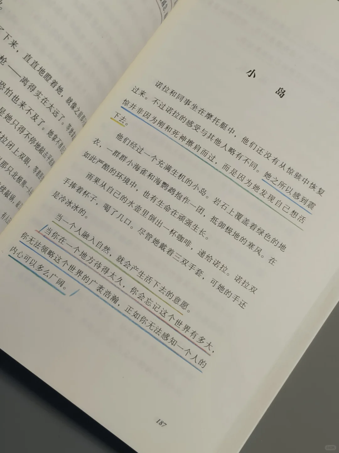 我宣布，这是今年读到最治愈的一本书！！