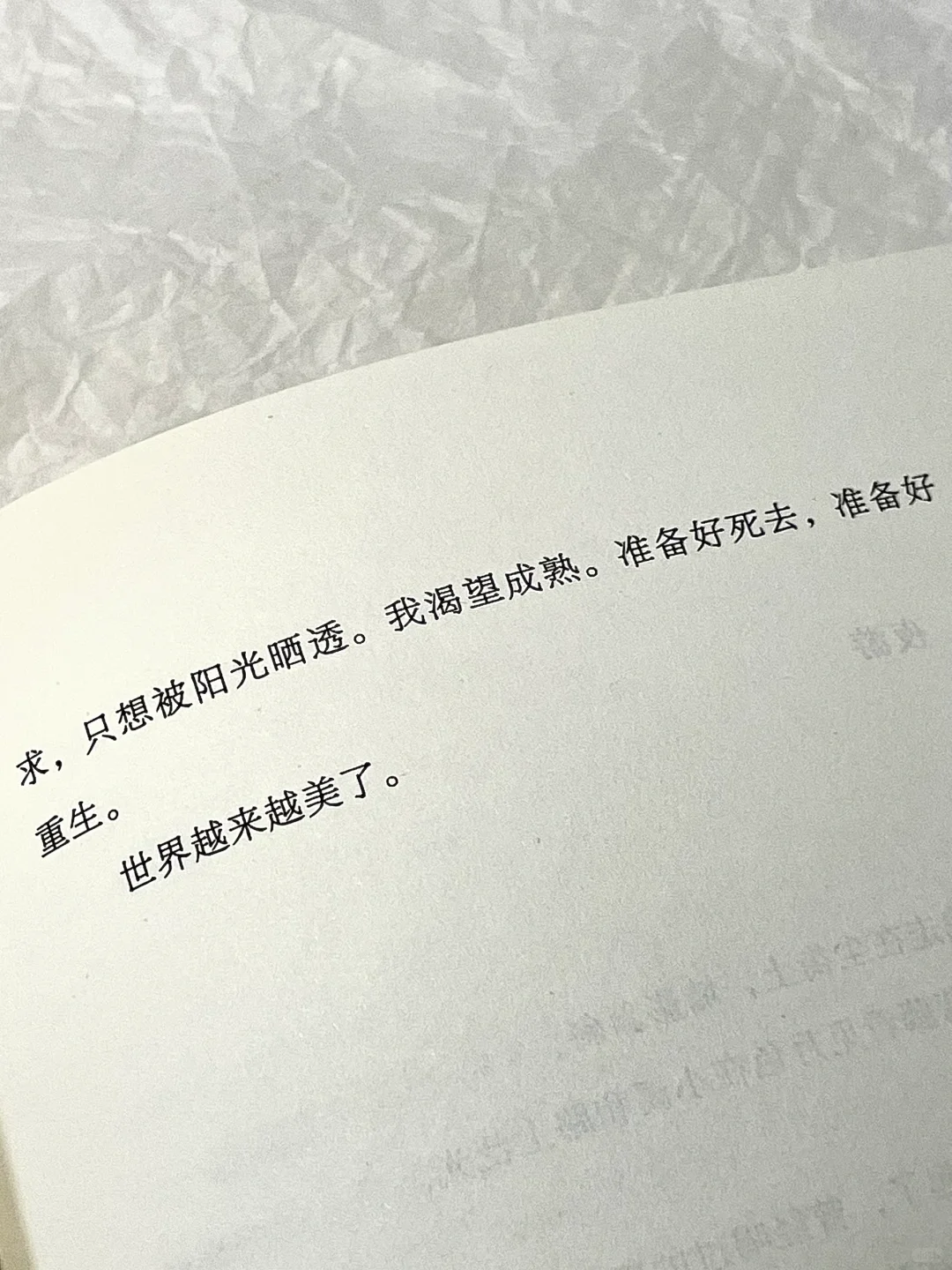 “世界是肥皂泡，是歌剧，是欢闹的荒唐。”