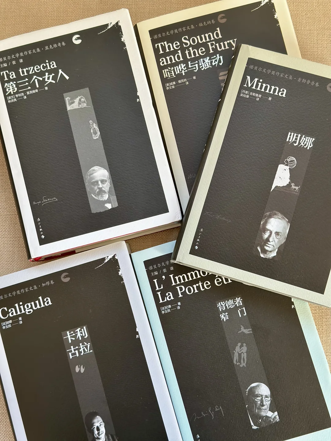 「漓江」黑色高分书单🖤过冬囤些精神食粮