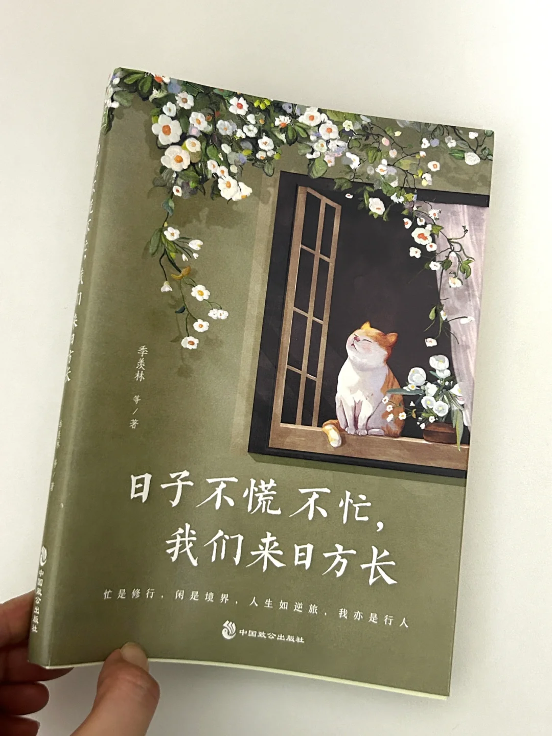 夏日炎炎，一起在书里过夏天吧❗️
