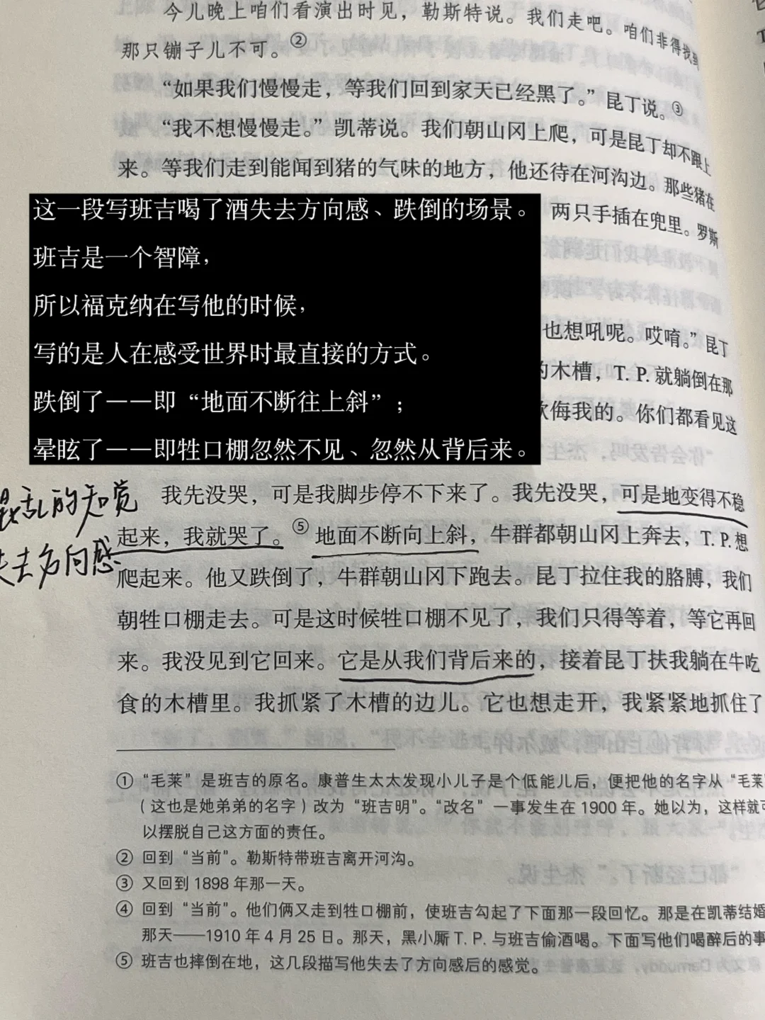 福克纳给了我无尽的「绝对文学时刻」