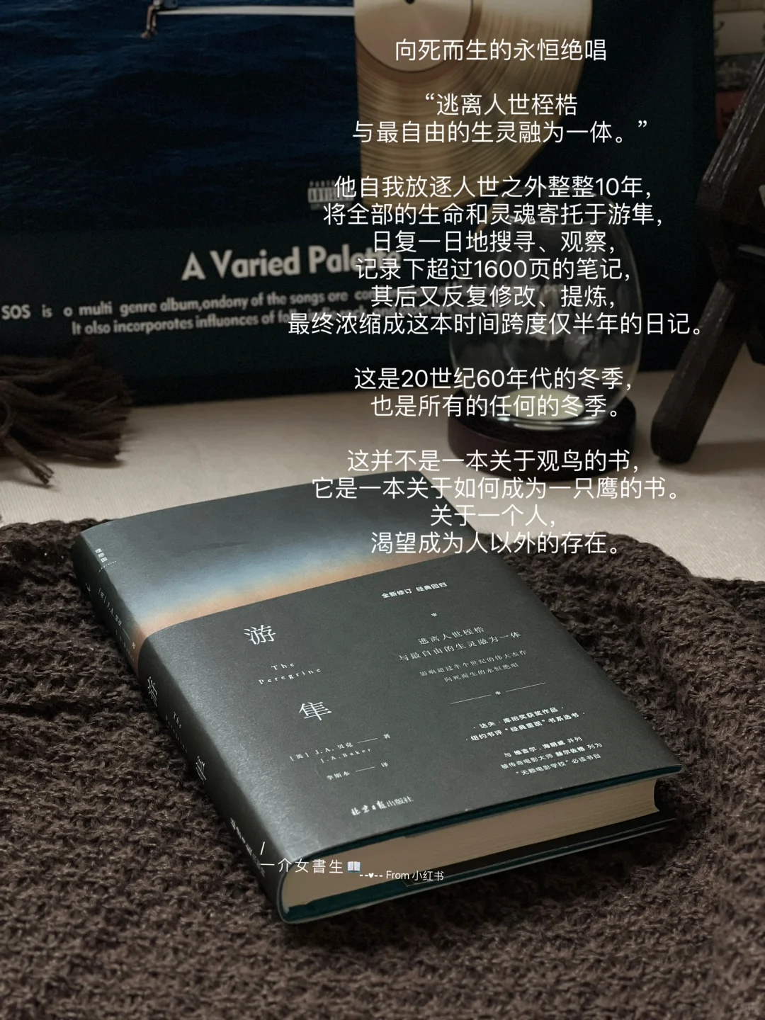 ◝🪹◜｜分享几本喜欢的入秋书单