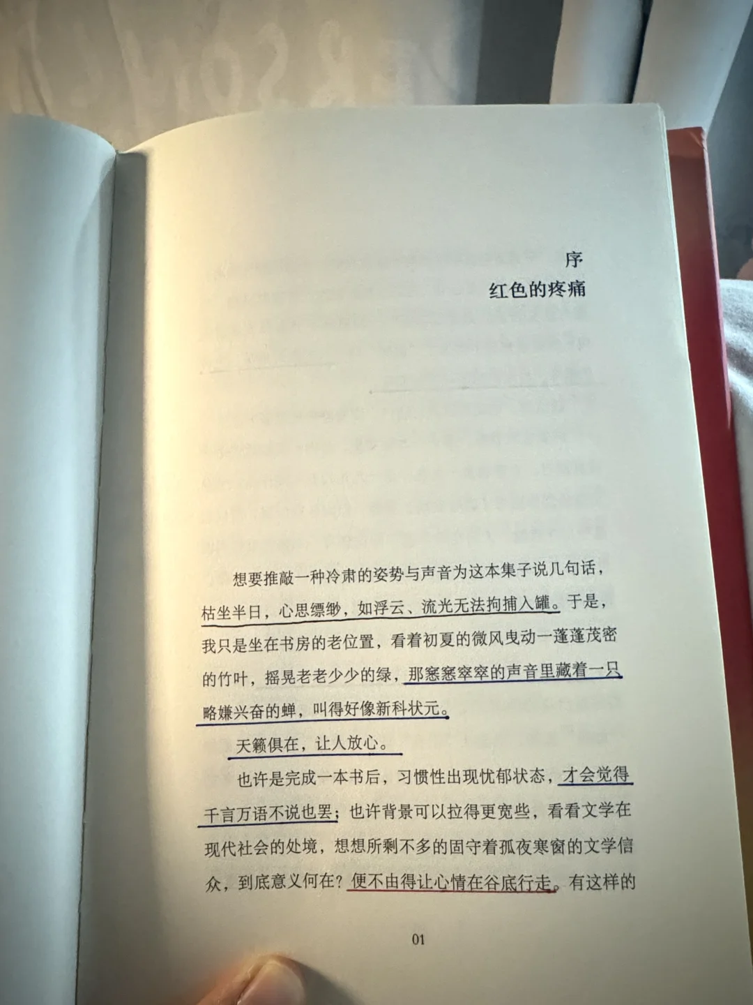 简媜老师妳太会写了 看得人总想落泪