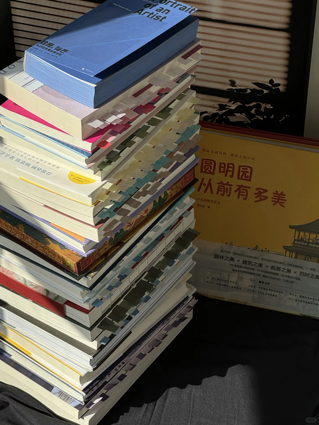📚10月读了24本书｜书单来了！小红书值得买