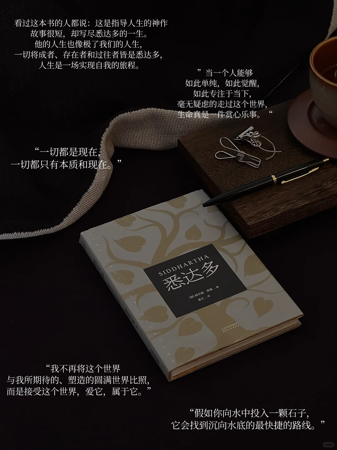 我的年度书单｜读着、看着、活着 感受其中