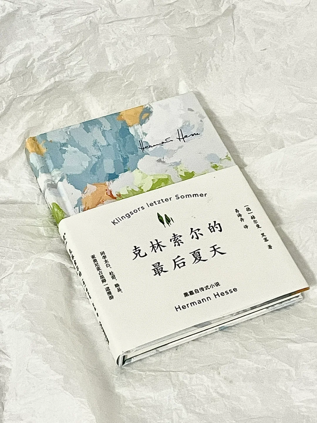 “世界是肥皂泡，是歌剧，是欢闹的荒唐。”