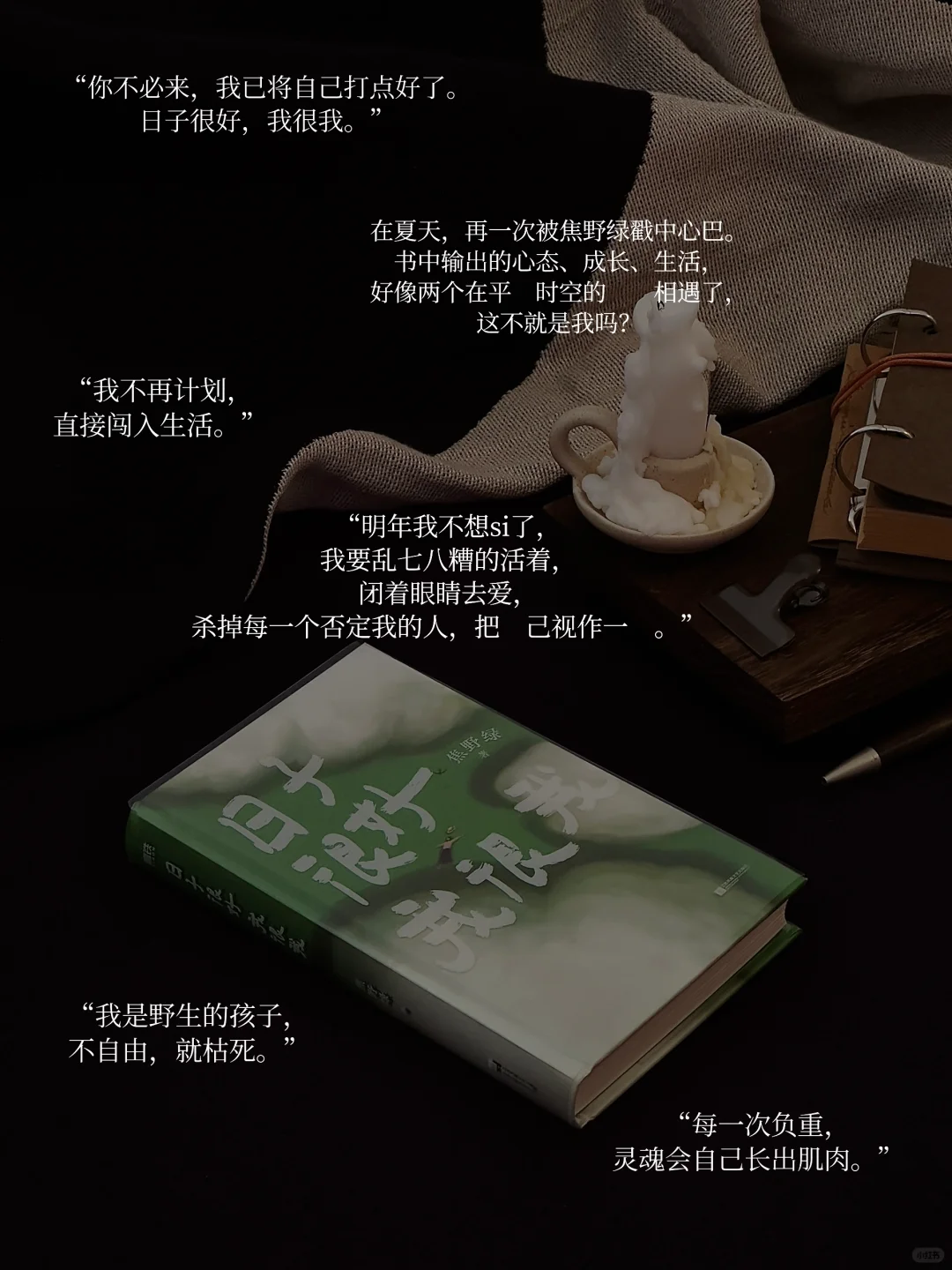 我的年度书单｜读着、看着、活着 感受其中