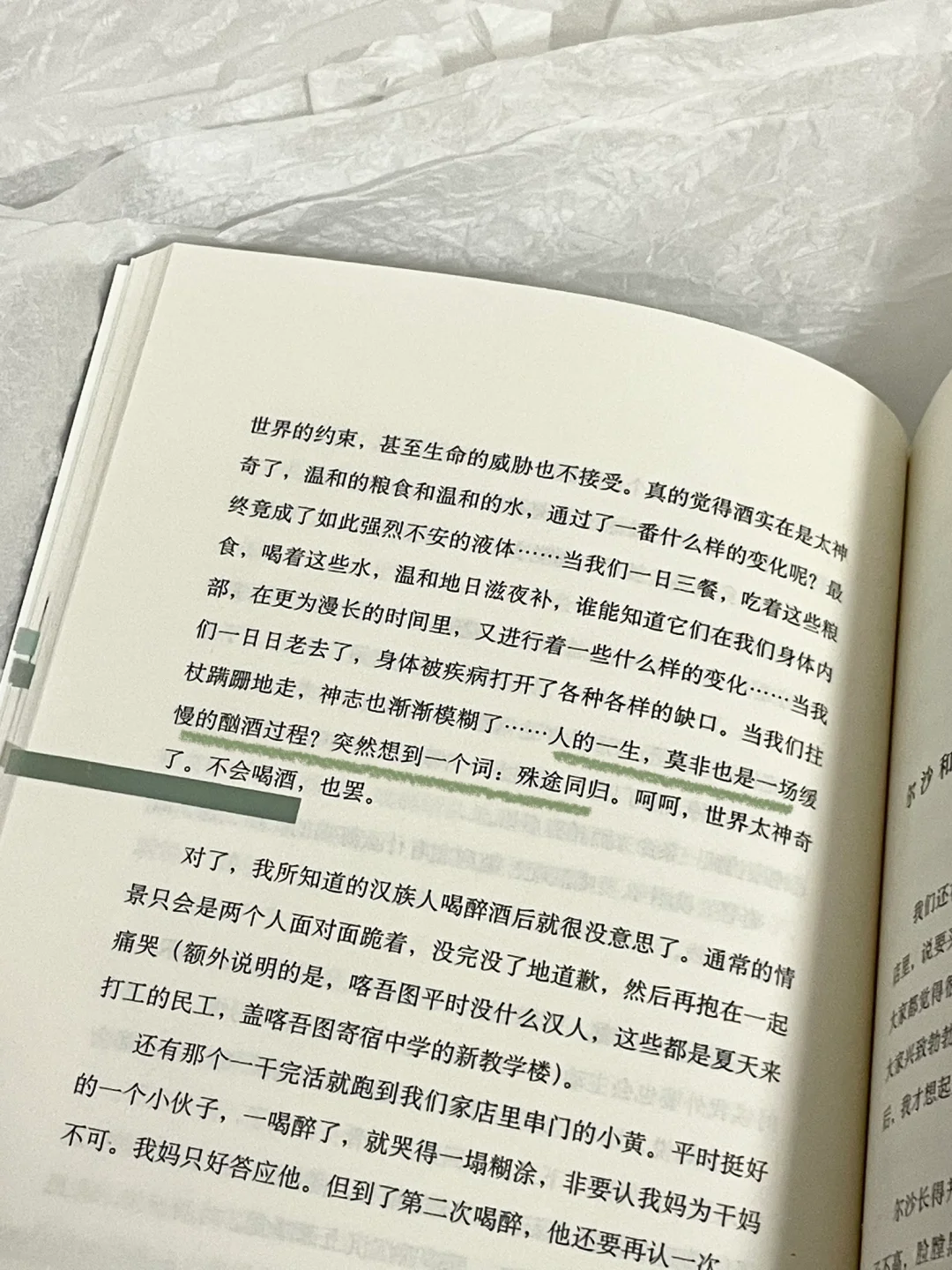 “自由一旦漫开，就无边无际。”