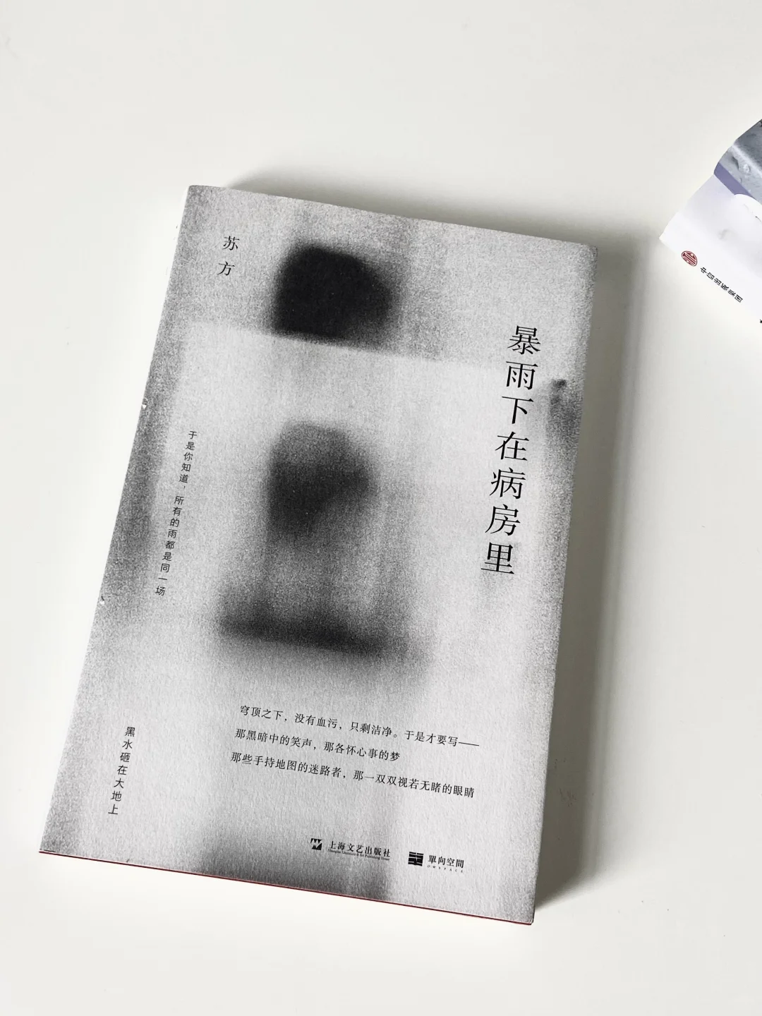 阴雨天躲在家里读书🐚 | 美到窒息的书单