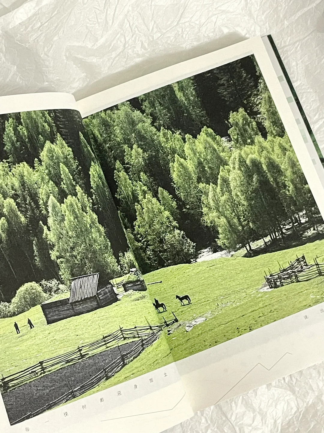 “自由一旦漫开，就无边无际。”