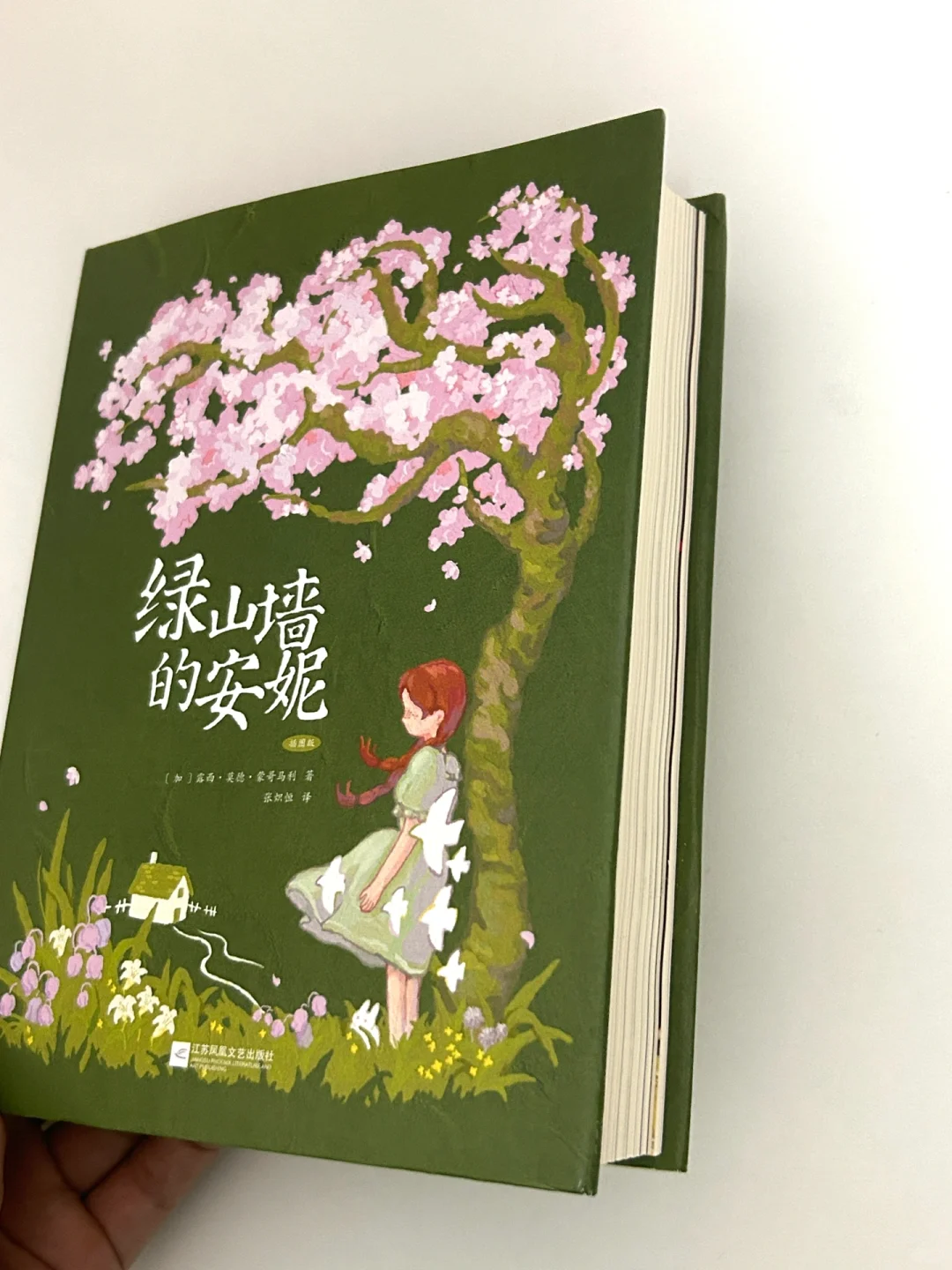 夏日炎炎，一起在书里过夏天吧❗️