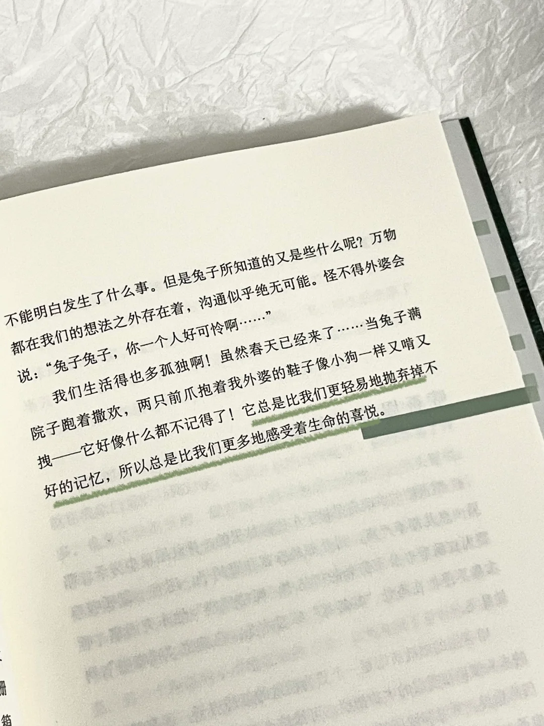 “自由一旦漫开，就无边无际。”