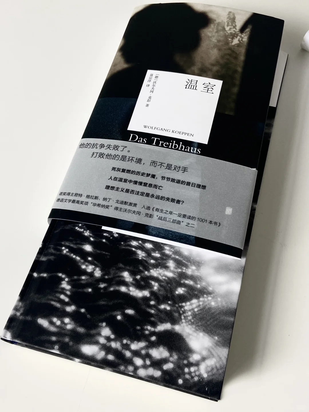 阴雨天躲在家里读书🐚 | 美到窒息的书单