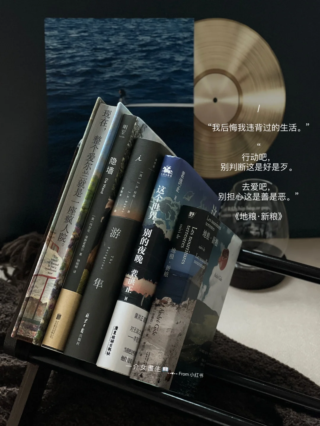 ◝🪹◜｜分享几本喜欢的入秋书单