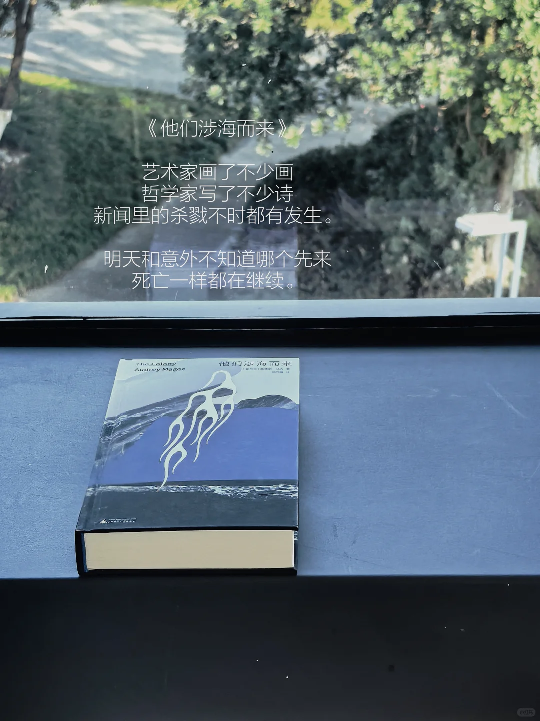12月书单｜生活是消耗，书籍是补给。