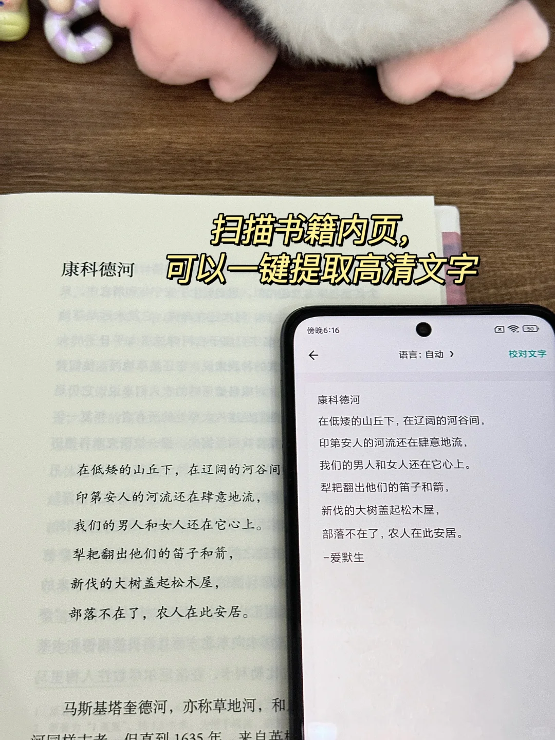 🏆年度5星书单❗️每本都值得N刷‼️