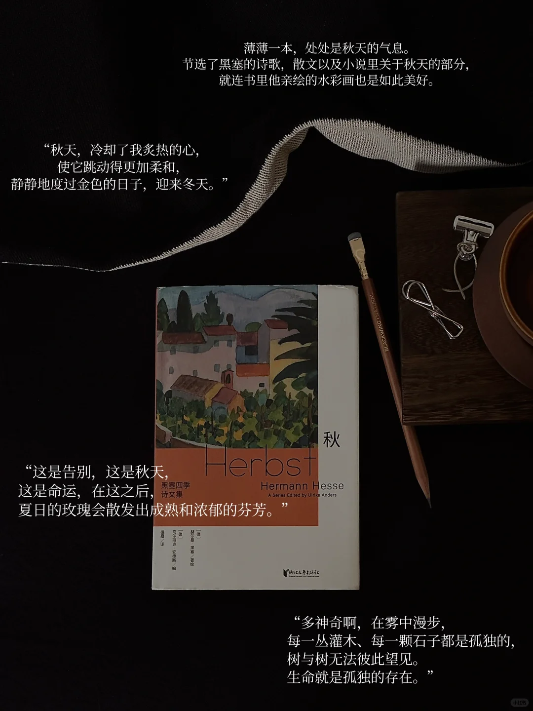 我的年度书单｜读着、看着、活着 感受其中