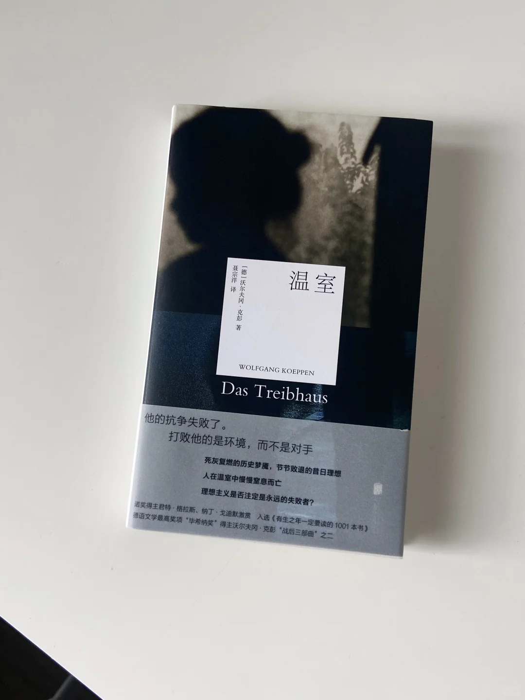 阴雨天躲在家里读书🐚 | 美到窒息的书单