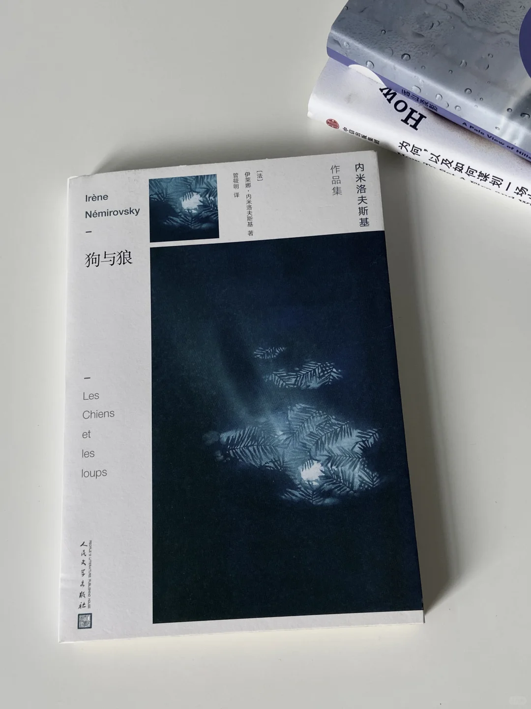 阴雨天躲在家里读书🐚 | 美到窒息的书单