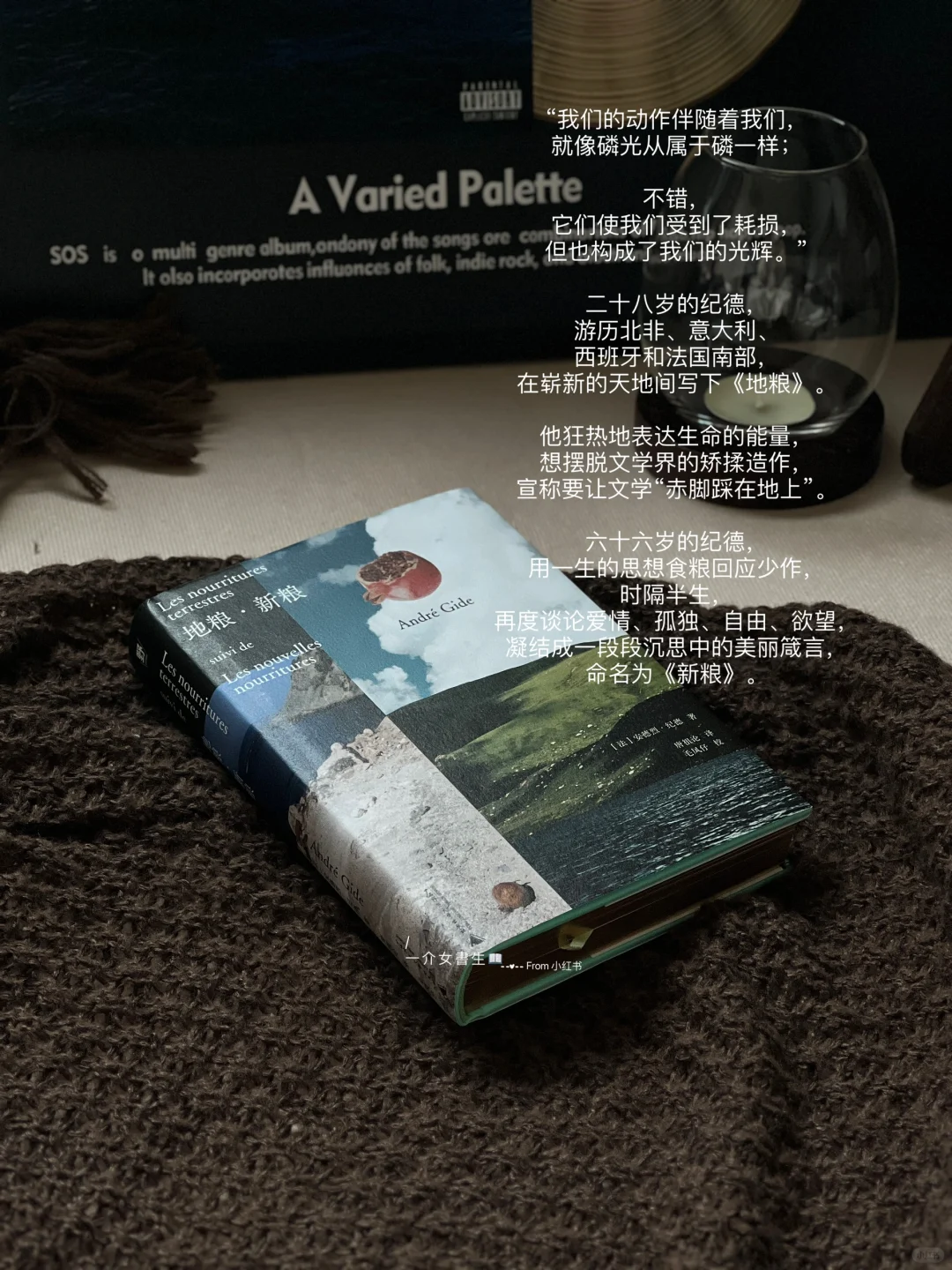 ◝🪹◜｜分享几本喜欢的入秋书单
