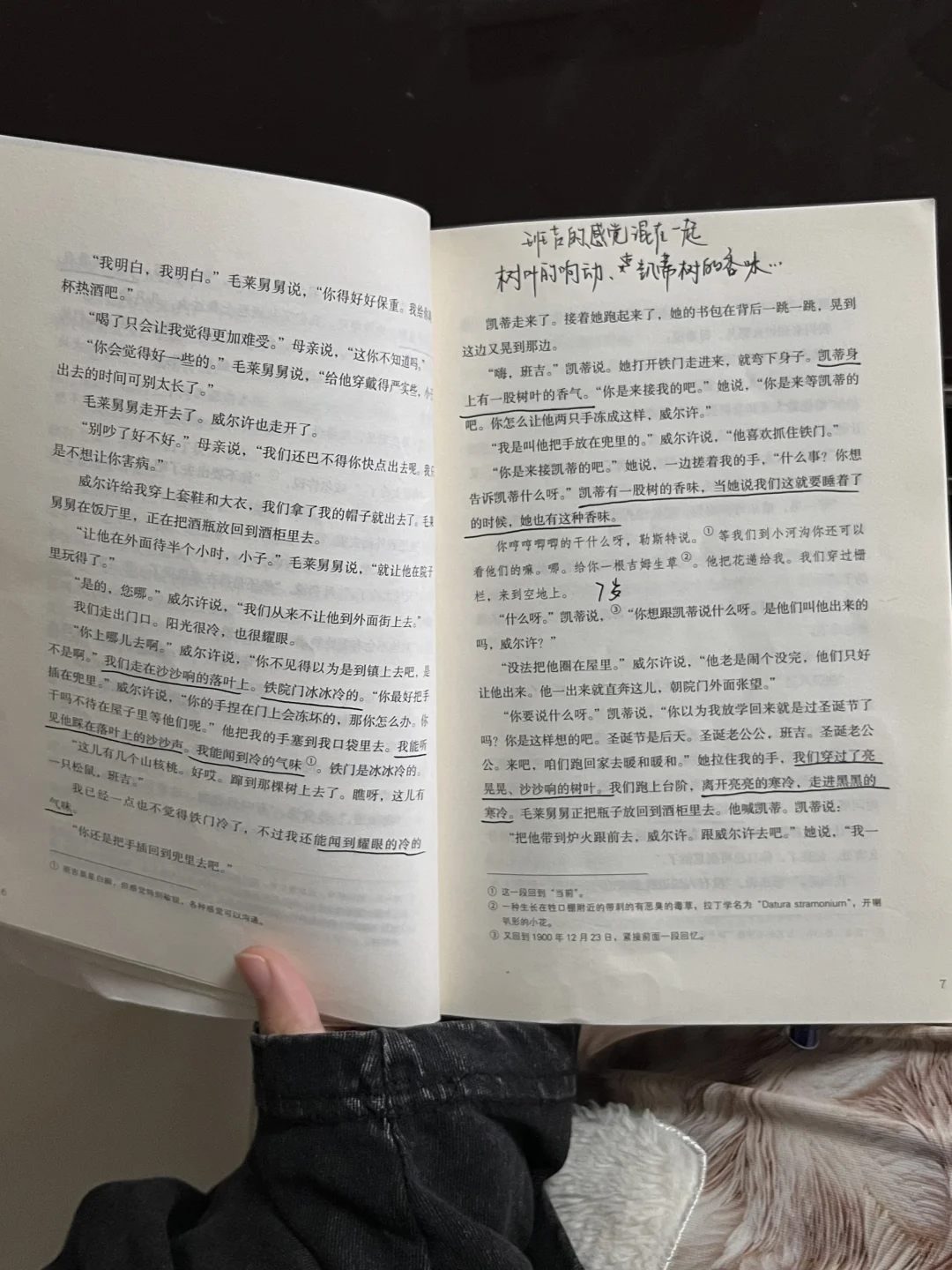 福克纳给了我无尽的「绝对文学时刻」