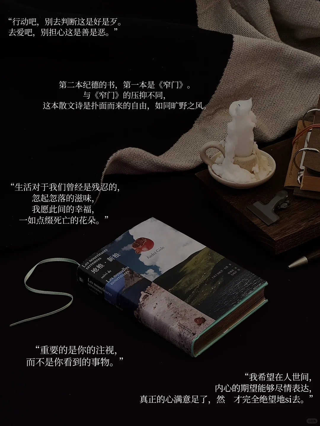 我的年度书单｜读着、看着、活着 感受其中
