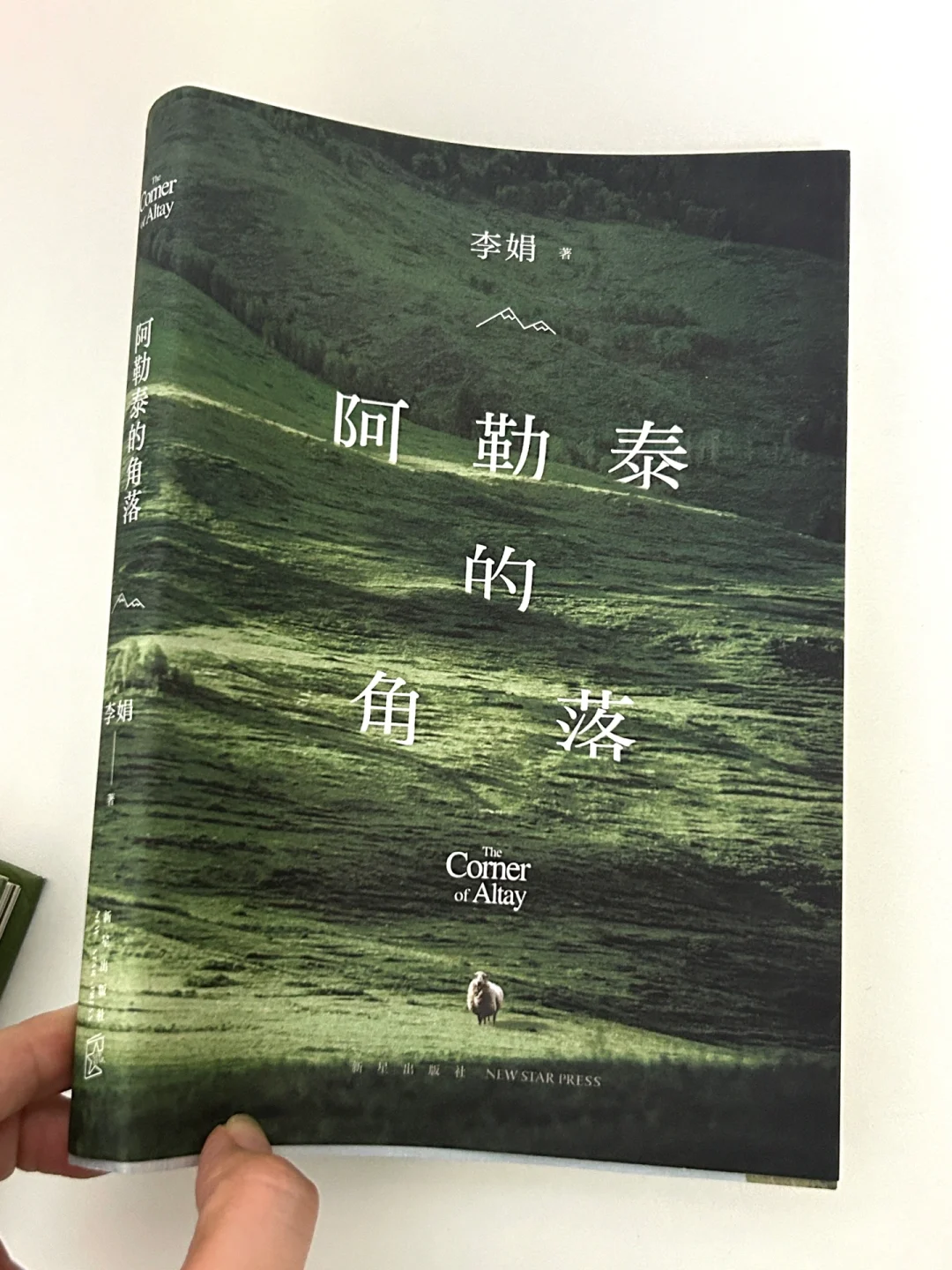 夏日炎炎，一起在书里过夏天吧❗️