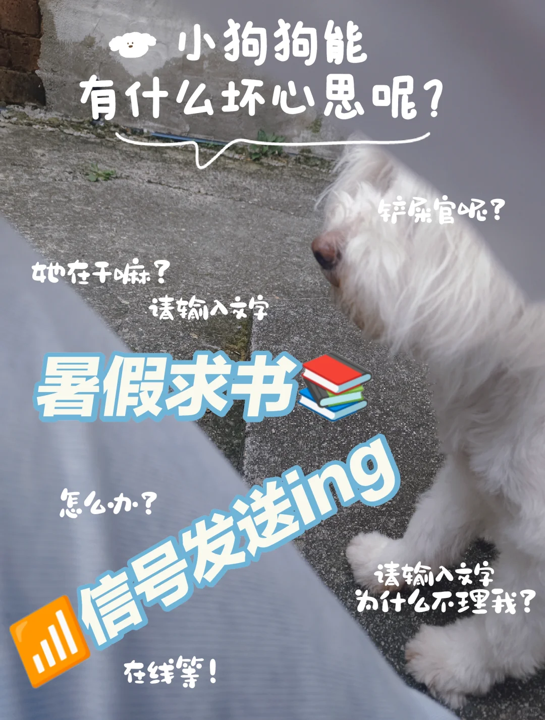 暑假无聊终结者，小泽在线求书📚