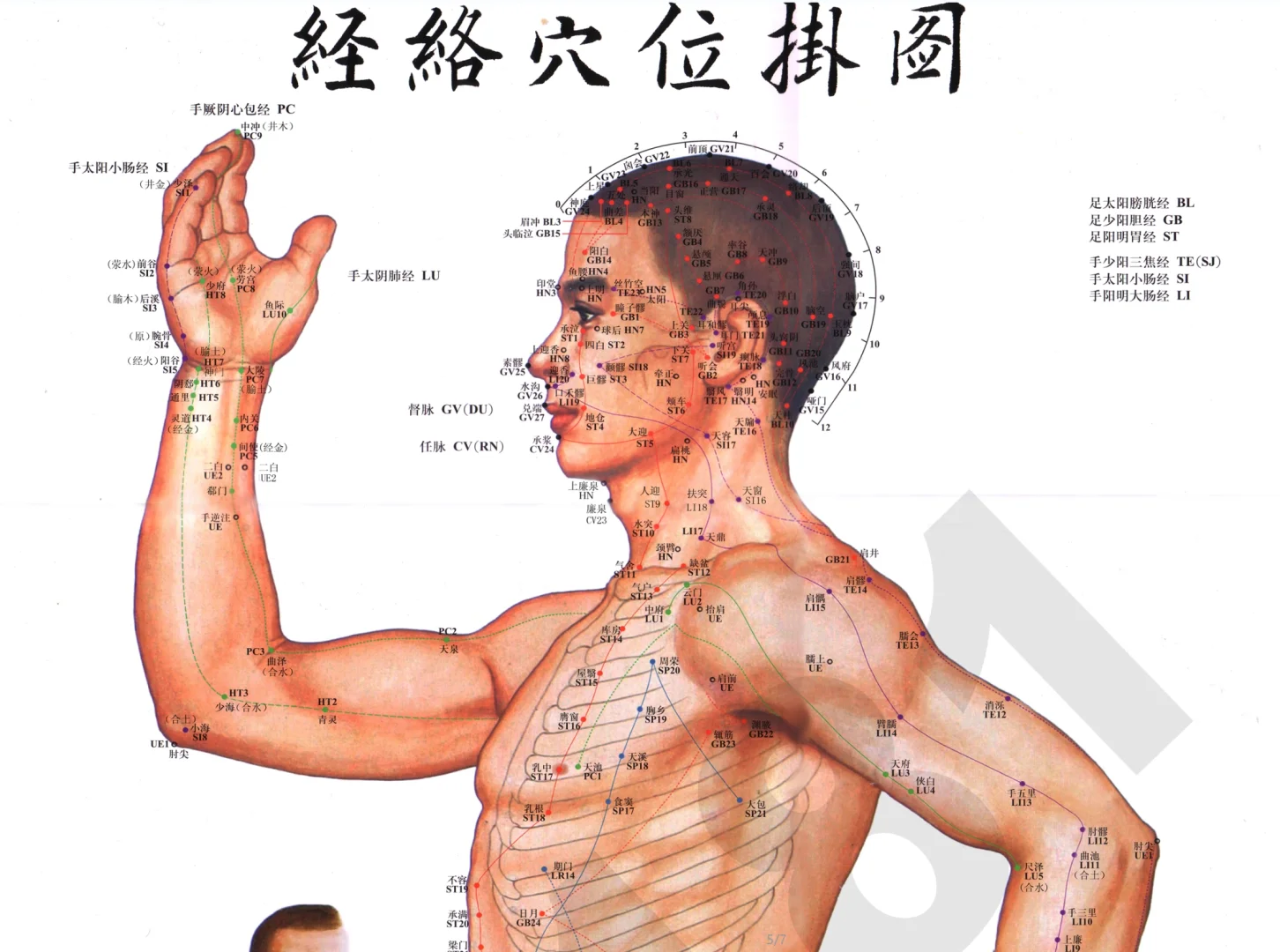 😂总算找到老是刷到但不给链接的书